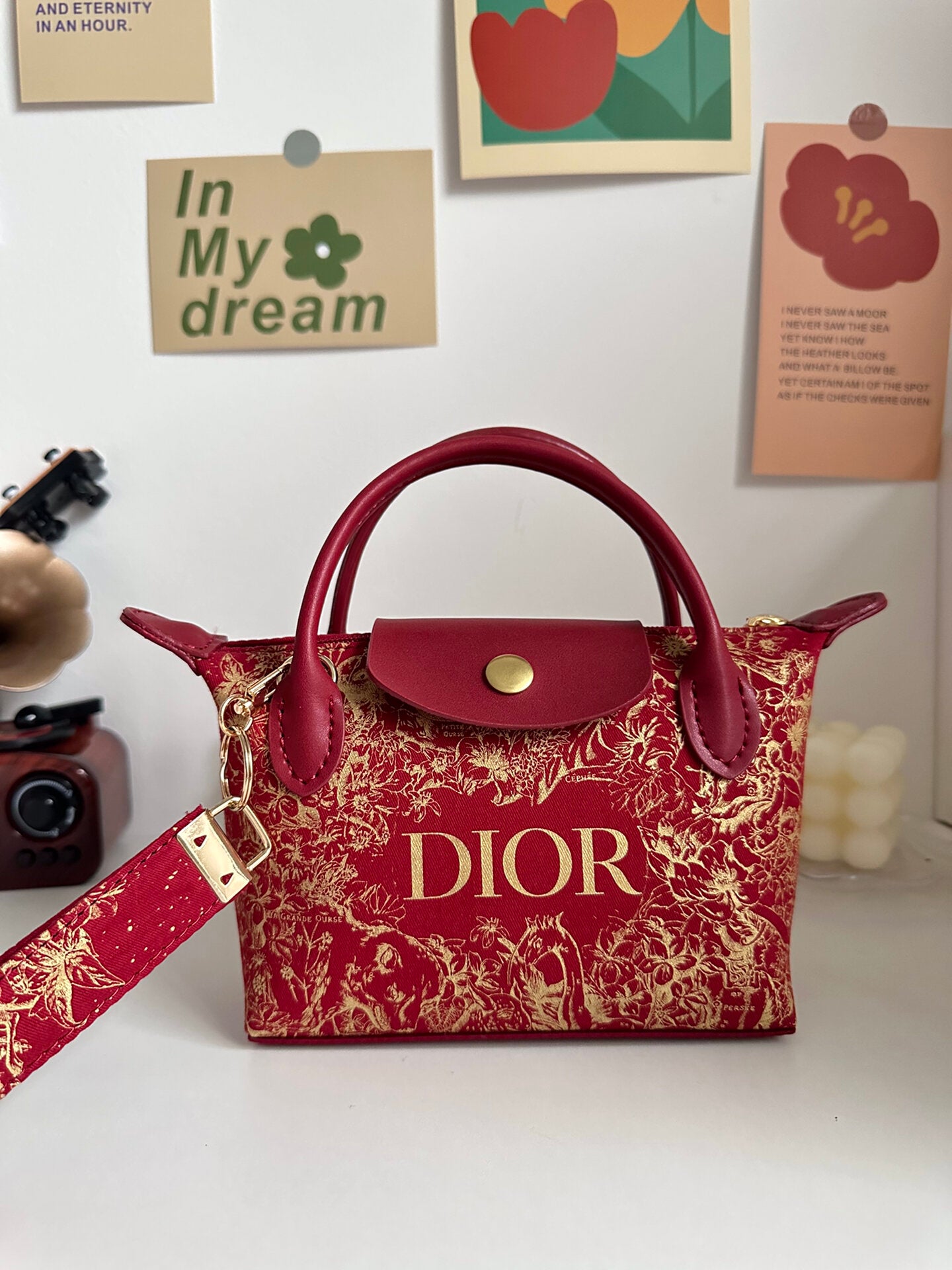 Dior shops dust bag