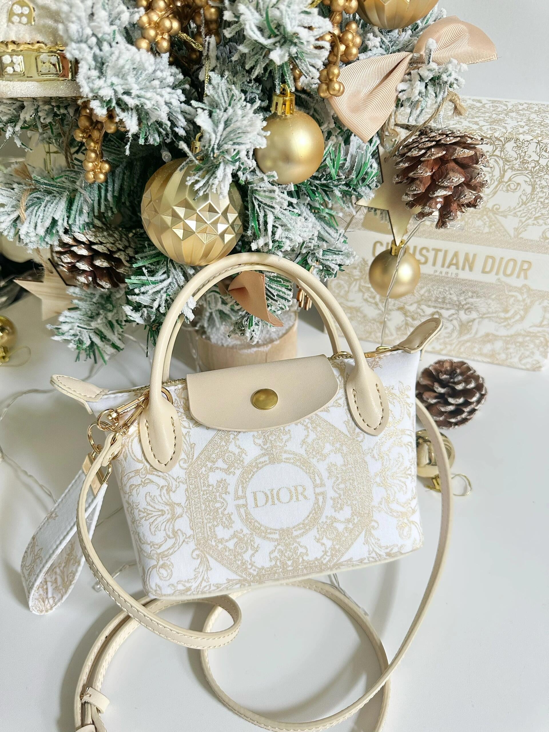 Upcycled Dior Dust Bag Dumpling Bag